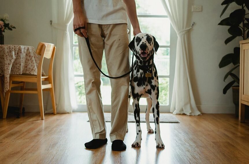 caller trust report analysis