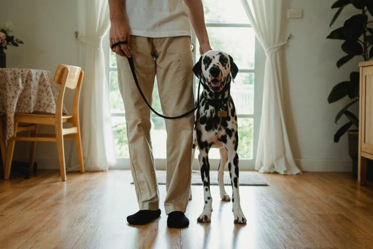 trustworthiness of caller evaluated