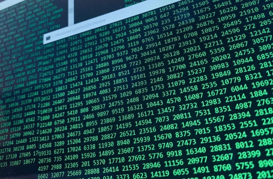 user information on number