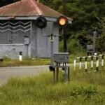 alpha signal routing loop