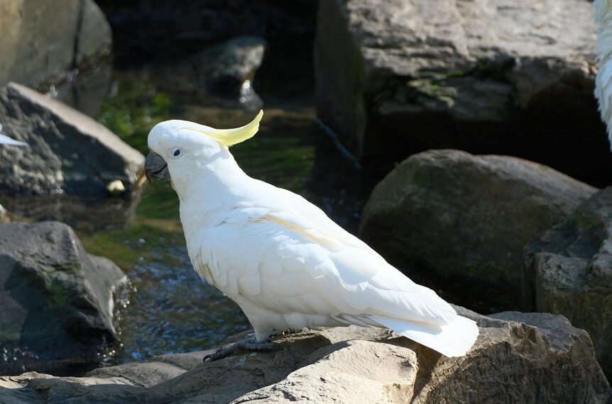 digital flow fusion technology