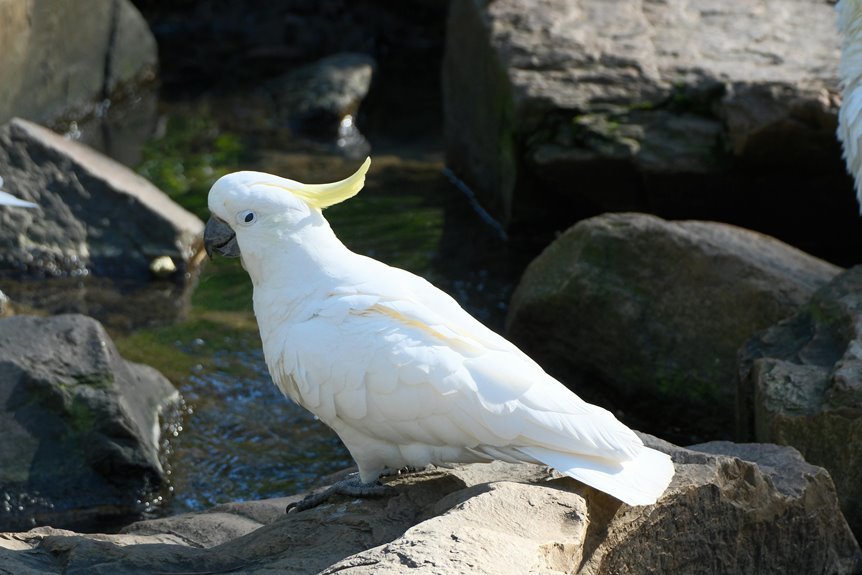 digital flow fusion technology