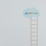 nova path growth ladder