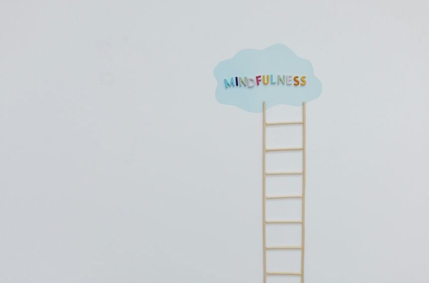 nova path growth ladder