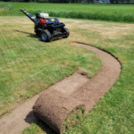 Managing Brush and Soil Removal During Yard Renovations