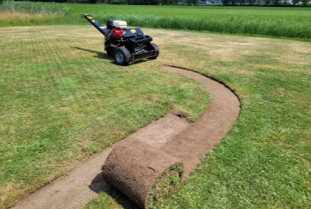 Managing Brush and Soil Removal During Yard Renovations